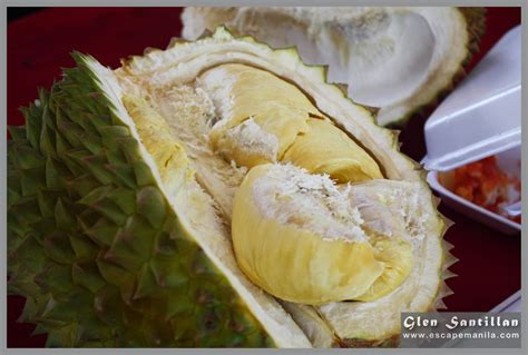 Durian in Philippine Cuisine.